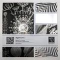 Digimura 2.1 DM2 Chrome Format hel rull 1,28 x 30m