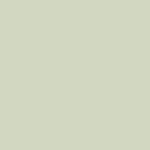 CoverStyl NH05 Pistachio Green Format hel rull 1,22 x 50m 