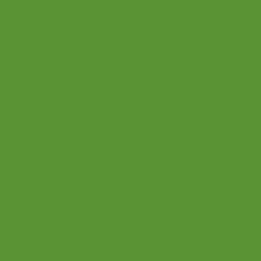 ColourWrap GM51 Gloss Met. Sporty Green Format hel rull 1,52 x 25m