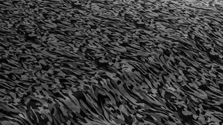 3M™ 2080-SB12 Shadow Black 1,52 x 22,9m 