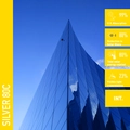Solar Screen SILVER 80 C